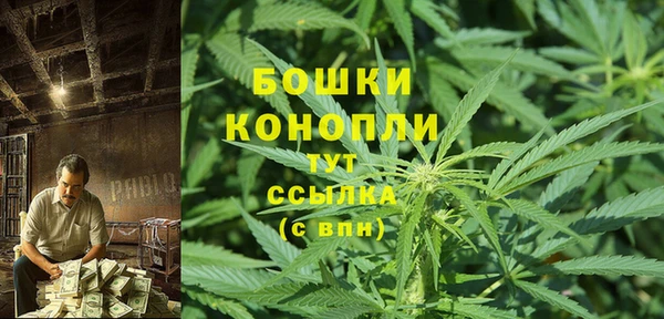 стаф Володарск