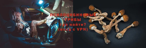 стаф Володарск