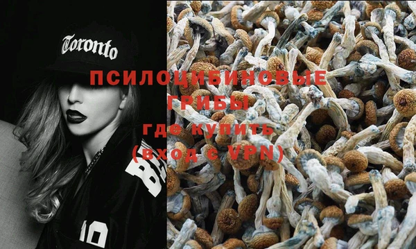 стаф Володарск