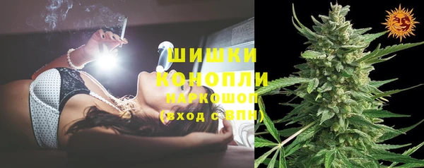 стаф Володарск